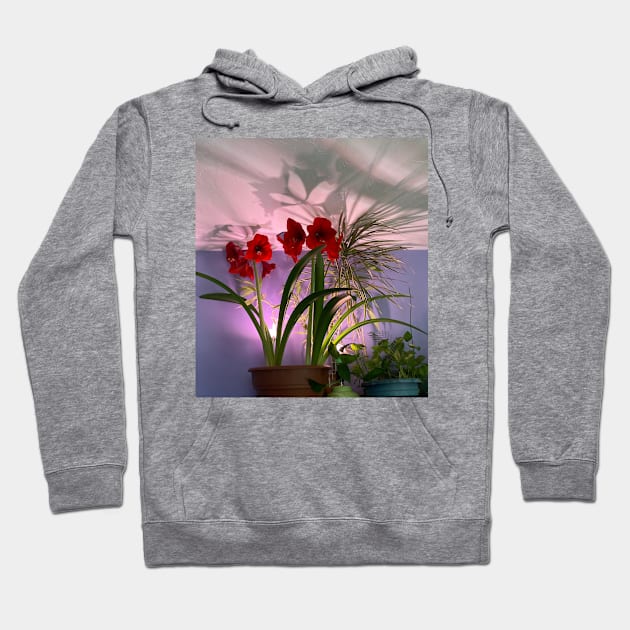 Houseplants Hoodie by Amanda1775